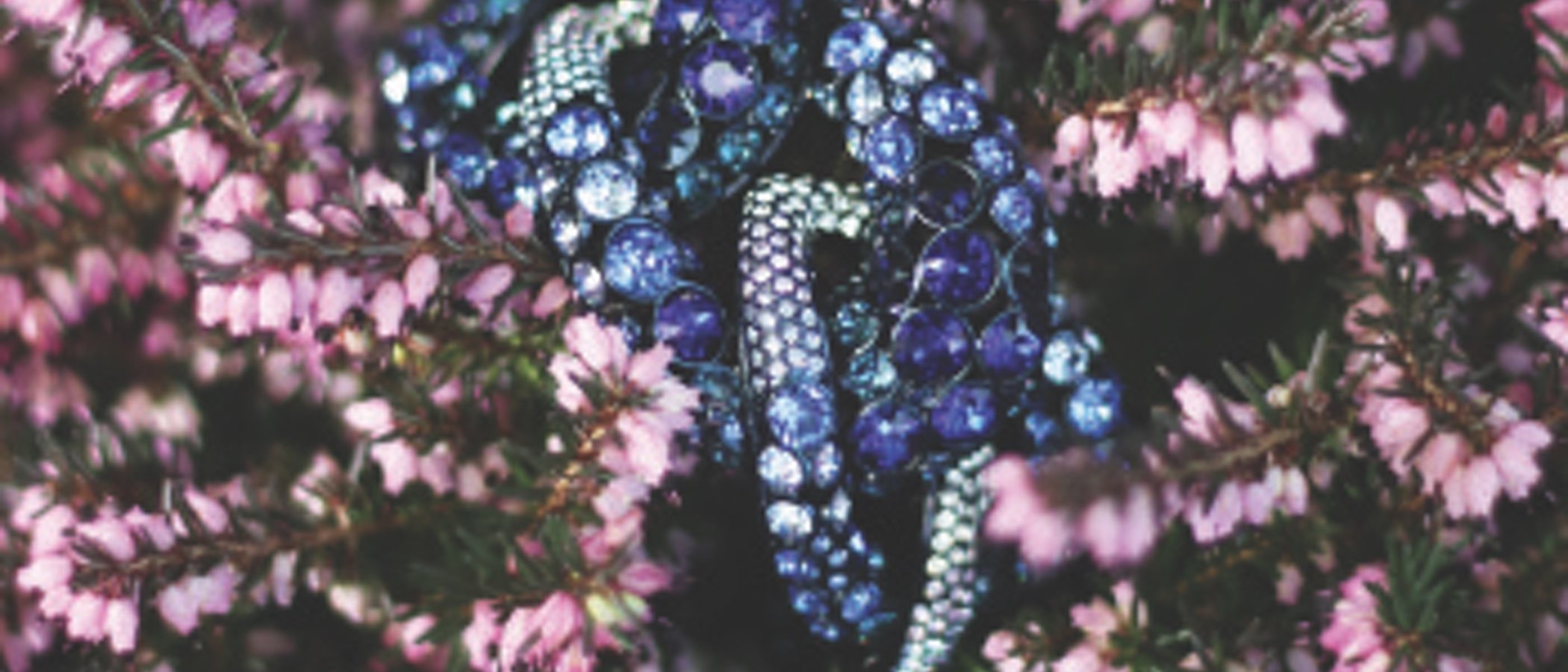 La colección otoño/invierno 2018 de Swarovski se llena de magia