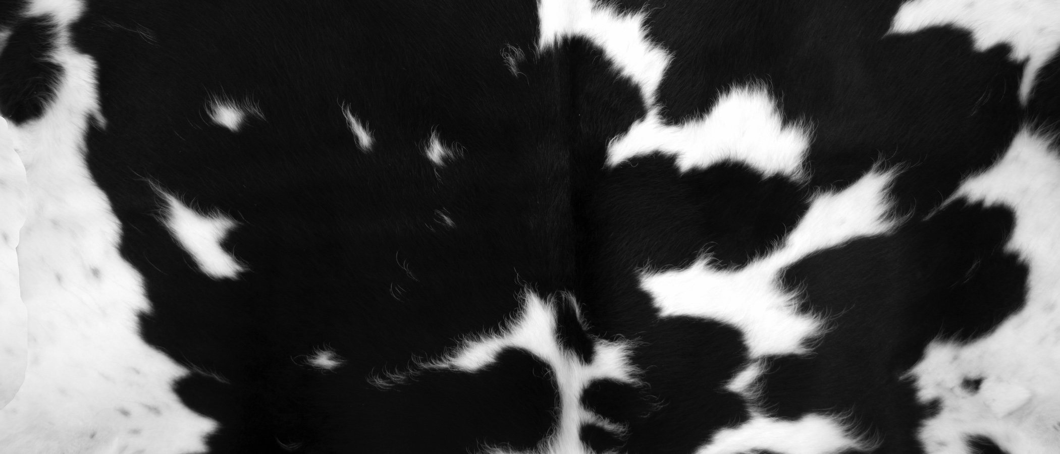 Cow print: el nuevo estampado de la temporada