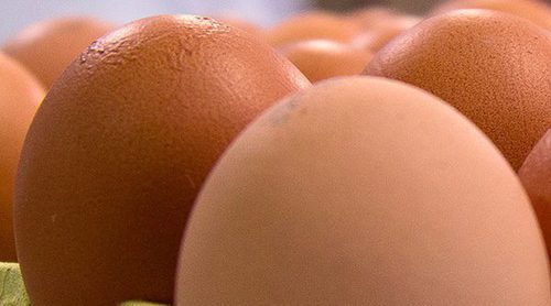 Huevos camperos: el placer de comer un alimento delicioso y saludable