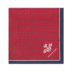 Pañuelo rojo y azul de la colección de Hawes & Curtis con el Príncipe Carlos