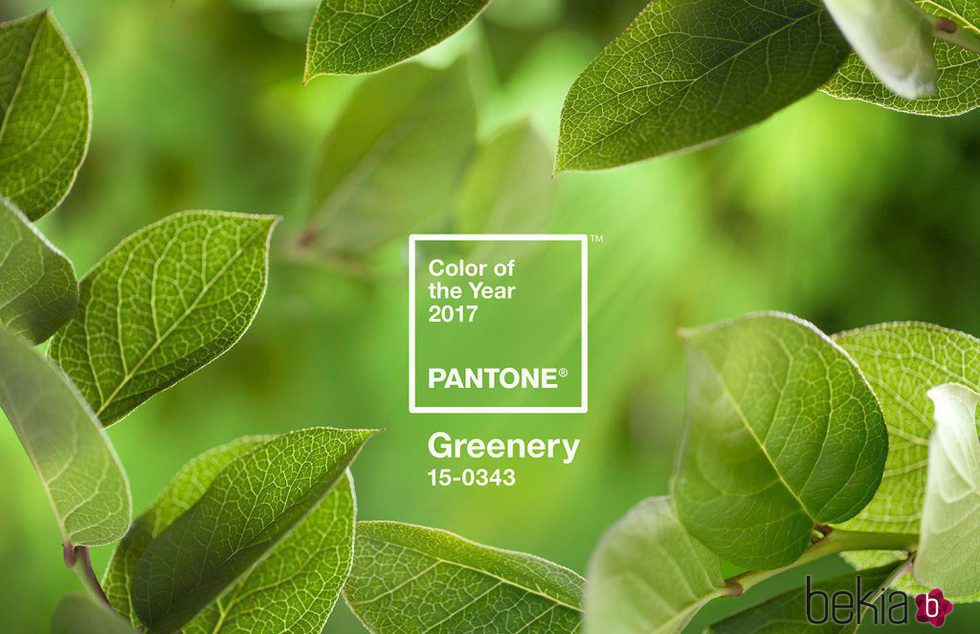 Color del año 2017 'Greenery' para Pantone