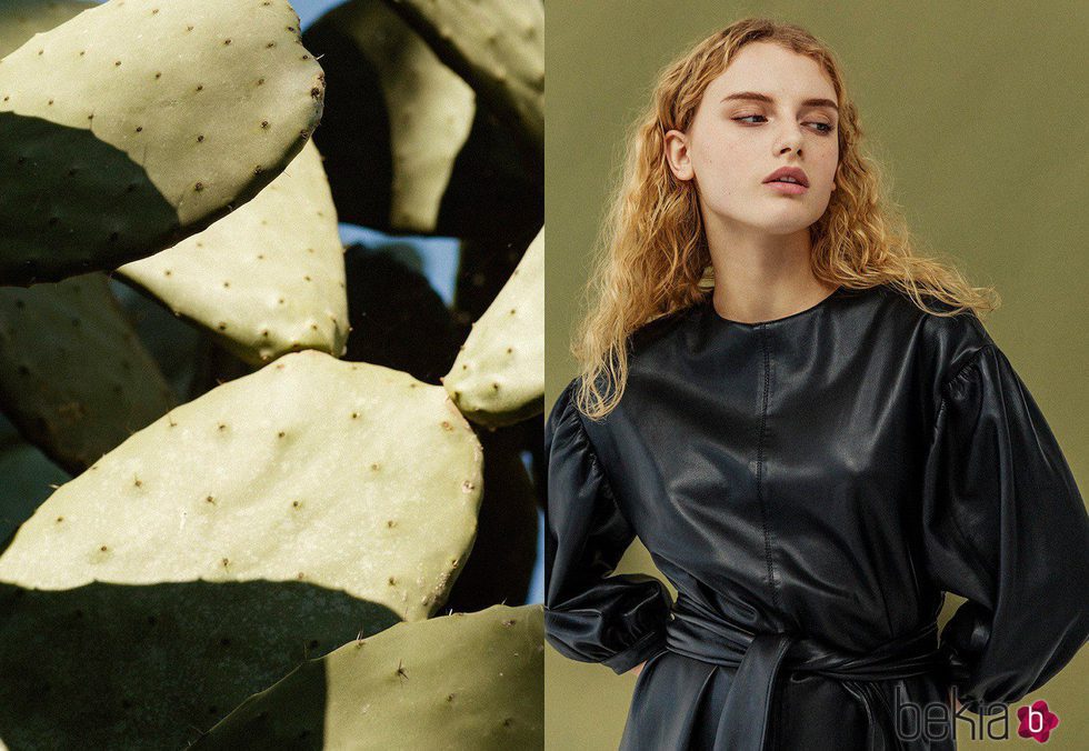 Camisa negra de inspiración gótica de Bershka campaña primavera/verano 2017