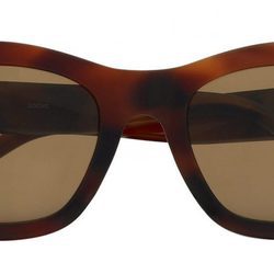 Modelo marrón de la nueva colección primavera/verano 2017 de gafas de sol vintage de Loewe