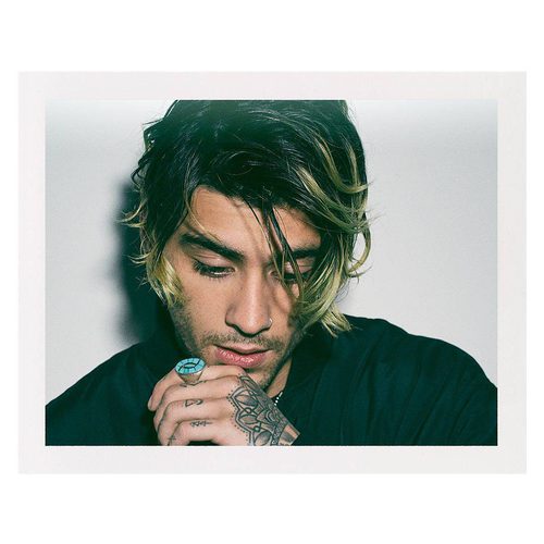 Zayn posando para la coleccion 'ZAYN x VERSUS'