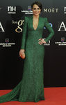 Paula Echevarría vestida de Dolores Promesas en los Premios Goya 2013