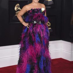 Pink con un traje de plumas multicolor