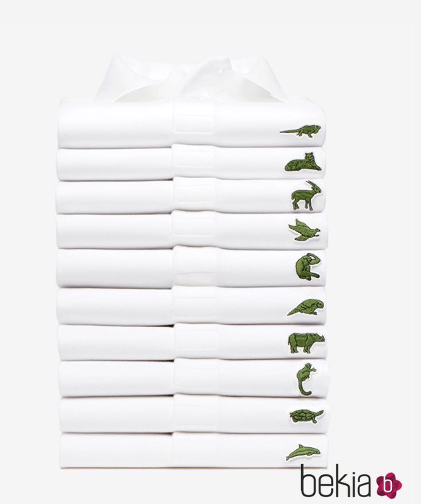 Diez polos Lacoste de una colección exclusiva de animales en peligro de extinción