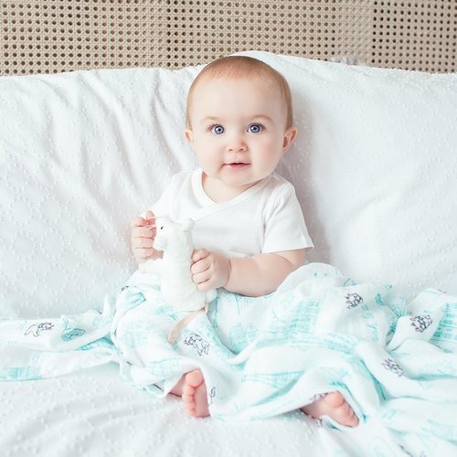 Arullo azul de 'Los Aristogatos' de Aden+Anais en colaboración con Disney Baby