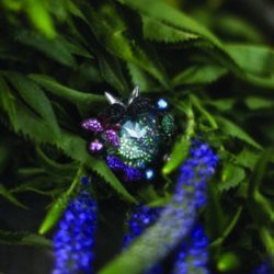 Pieza con incrustaciones de colores de la colección 'Crystal Tales' de Swarovski