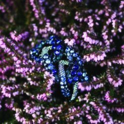 Diseño en tonos azules de la colección 'Crystal Tales' de Swarovski