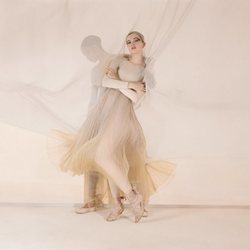 Falda larga colección primavera/verano 2019 de Dior