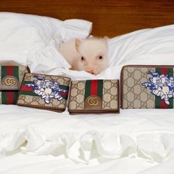 Carteras de la colección cápsula invierno 2019 de Gucci