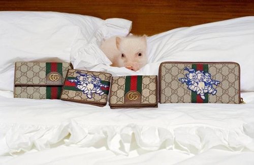 Carteras de la colección cápsula invierno 2019 de Gucci