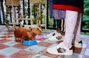 Zapatillas de la colección cápsula invierno 2019 de Gucci