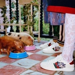 Zapatillas de la colección cápsula invierno 2019 de Gucci