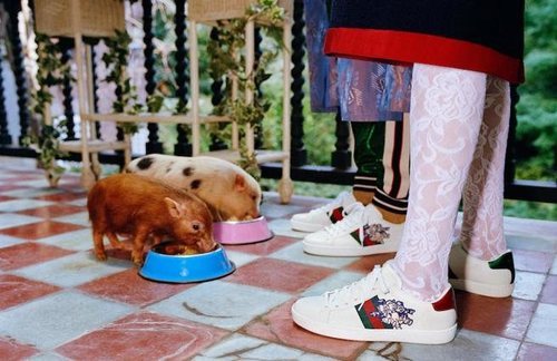 Zapatillas de la colección cápsula invierno 2019 de Gucci