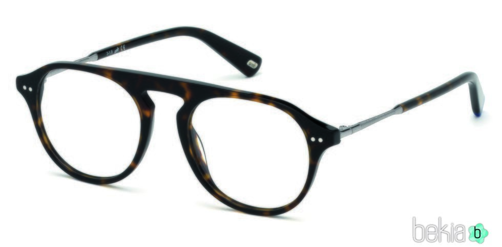 Gafas  estampadas nueva colección de Marcolin