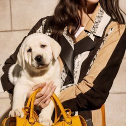 Campaña primavera-verano 2019 Tod´s con Vittoria Ceretti y un perro