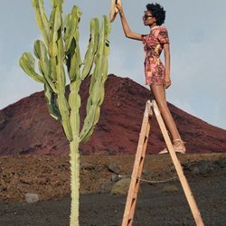 Mono corto de la colección 'Beyond Nature' de TRF