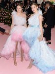 Victoria y Cristina, las hijas de Julio Iglesias, con vestidos de plumas en la Gala MET 2019