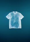Camiseta de organdí de Giambattista Valli x H&M