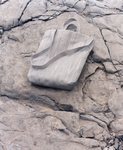 Bolso estampado de la colección de primavera 2019 de COS