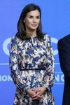 La Reina Letizia en la entrega de premios Discapnet 2019