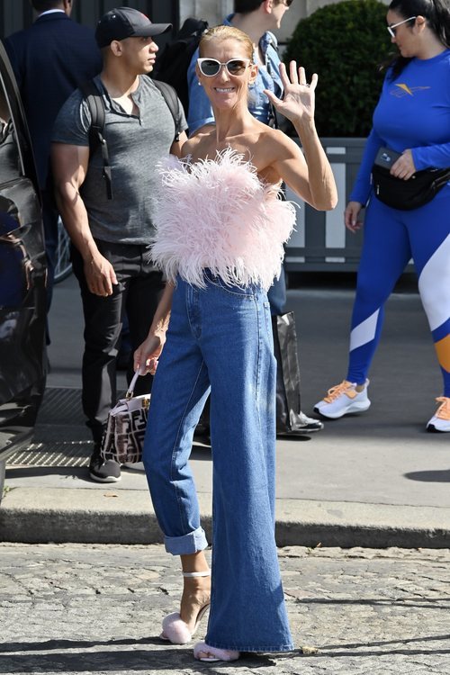 Céline Dion luce espectacular con un top de plumas de Attico