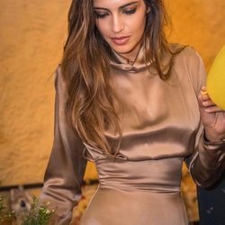 Sara Carbonero con un vestido satinado marrón de Wolflamb