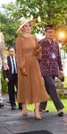 Máxima de Holanda luce un vestido a puntos marrón y blanco