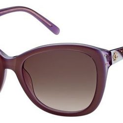 Gafas de sol de Just Cavalli primavera/verano 2012 de pasta marrón
