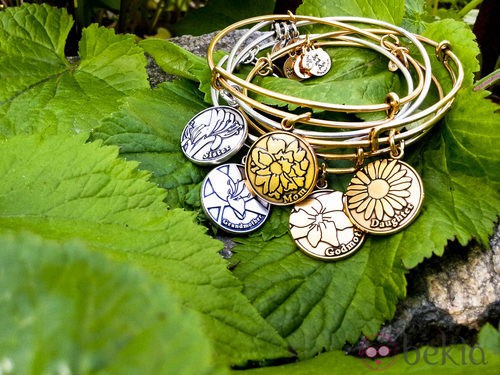 Charms con motivos familiares de Alex and Ani 