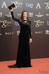 Ángela Molina con joyas de Carrera y Carrera en los Goya 2013
