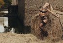 Bar Refaeli de encaje negro para Agent Provocateur 