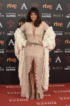 Yolanda Ramos con vestido de Marco Souza en la alfombra roja de los Premios Goya 2016