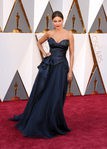 Sofía Vergara con un vestido de Marchesa en la alfombra roja de los Premios Oscar 2016
