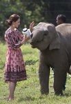 Kate Middleton alimentando a un elefante en su visita oficial a la India