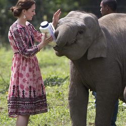 Kate Middleton alimentando a un elefante en su visita oficial a la India