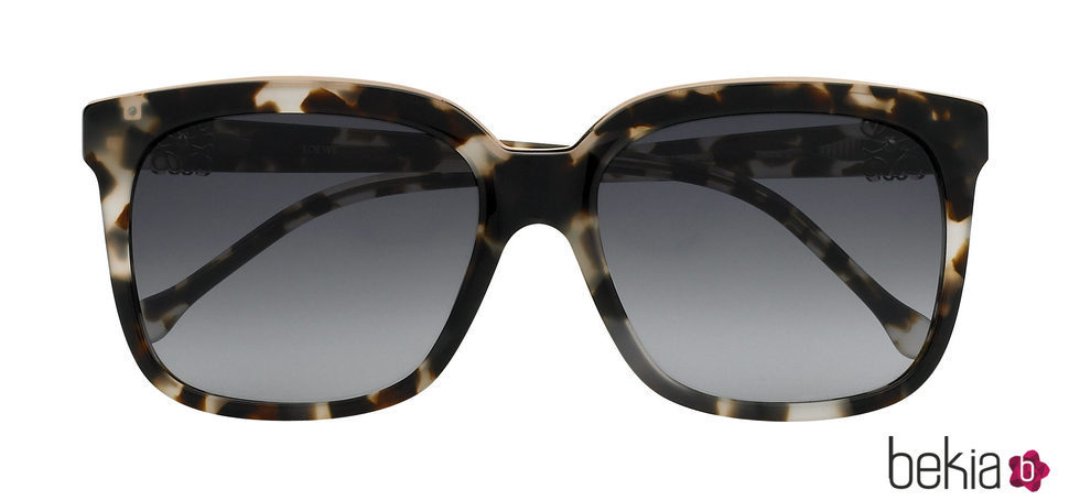 Gafas de sol estampadas de Loewe otoño/invierno 2016/2017