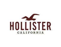 Hollister Co.