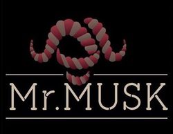 Mr. Musk
